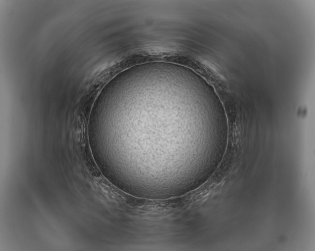 X0000090700917200707271105