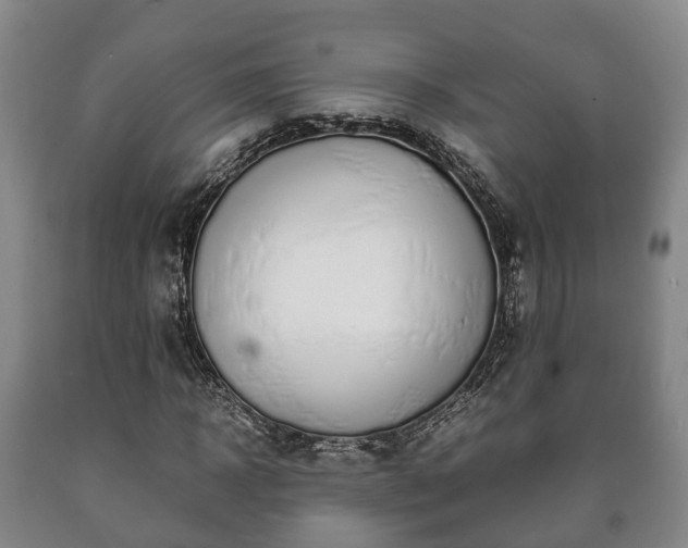 X0000090700918200707271105