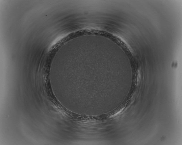 X0000090700919200707271105