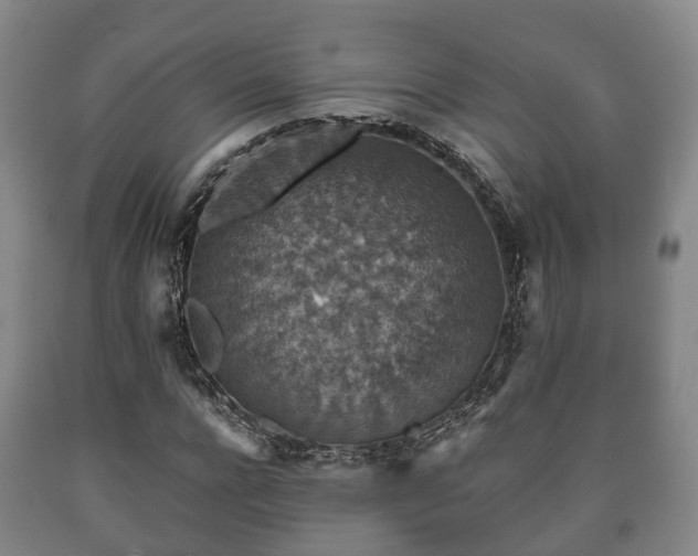 X0000090700920200707271105