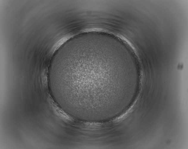 X0000090700921200707271105