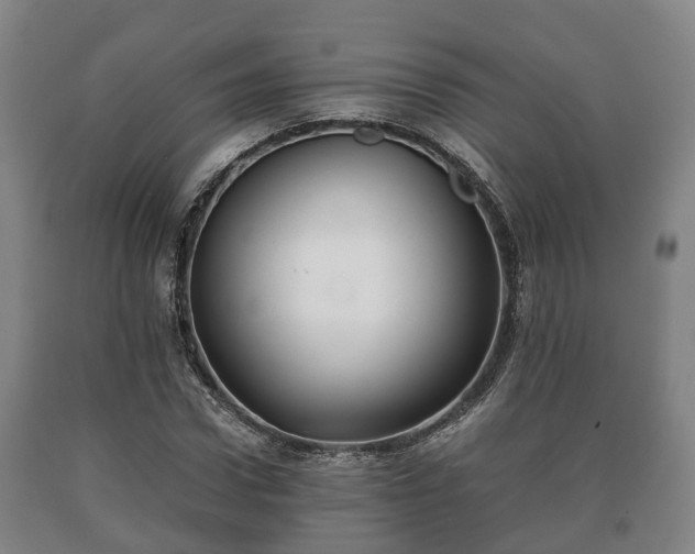 X0000090700922200707271105