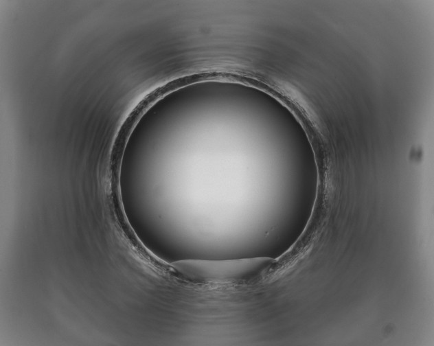 X0000090700924200707271105