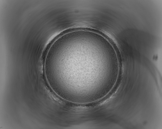 X0000090700925200707271105