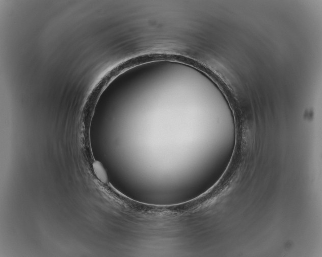 X0000090700926200707271105