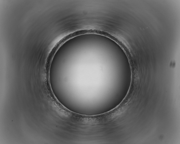 X0000090700927200707271105