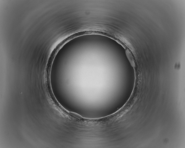 X0000090700928200707271105