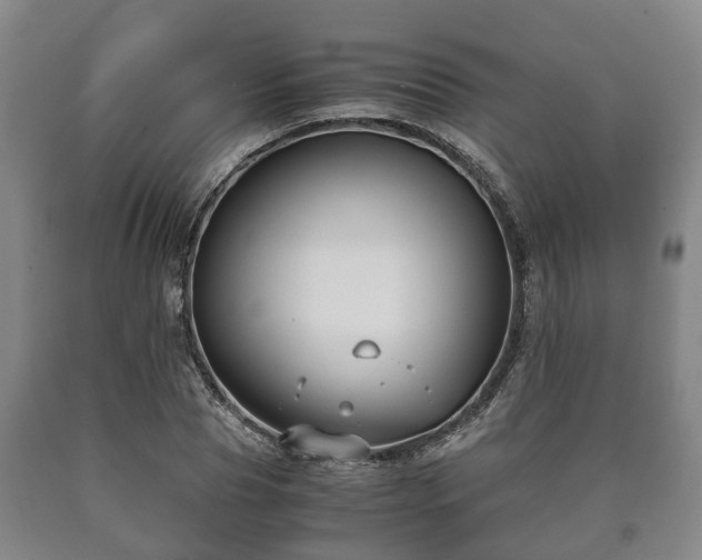 X0000090700929200707271105