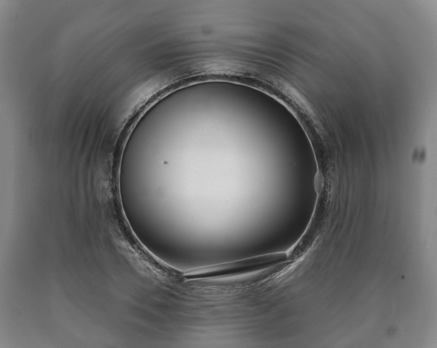 X0000090700930200707271105