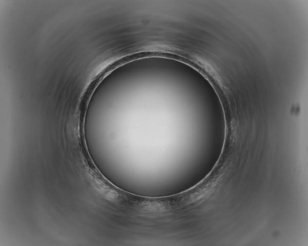 X0000090700931200707271105