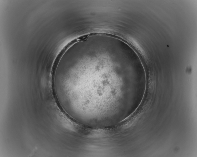 X0000090700932200707271106