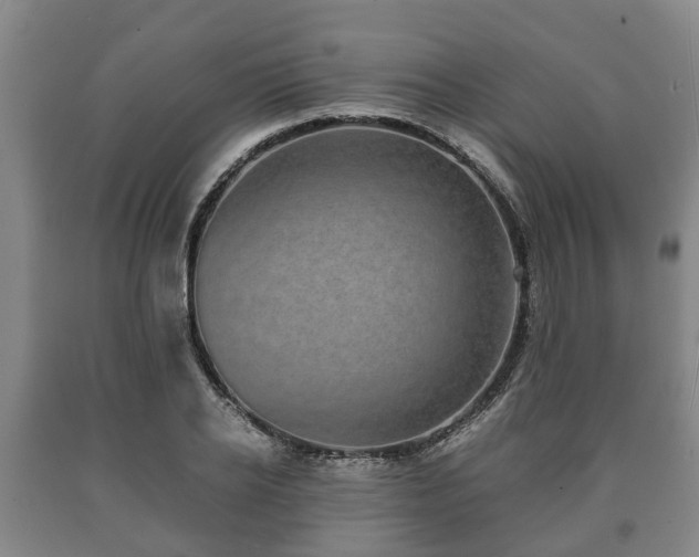 X0000090700934200707271106