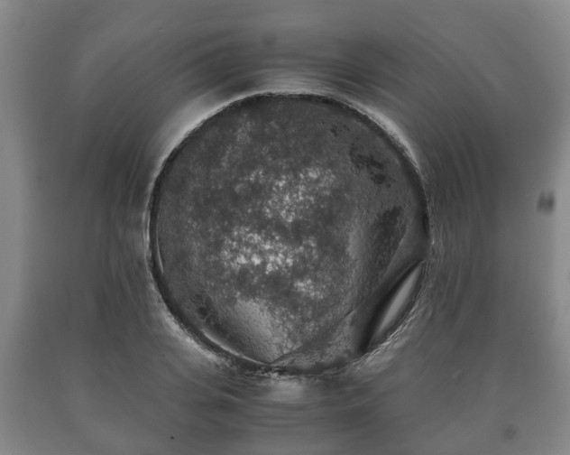 X0000090700935200707271106