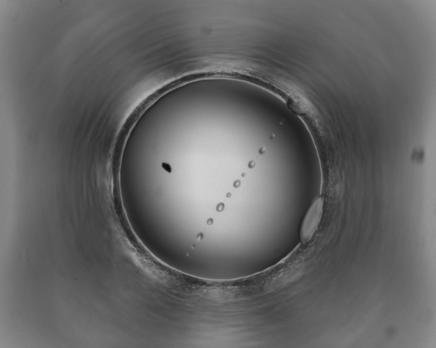 X0000090700936200707271106