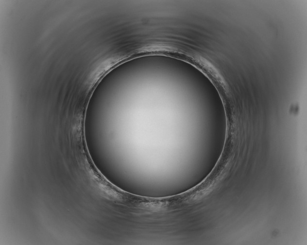 X0000090700937200707271106