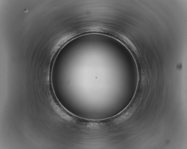 X0000090700938200707271106