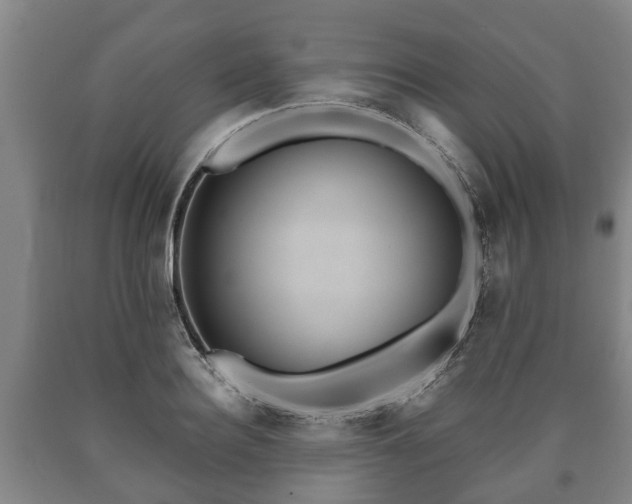 X0000090700940200707271106