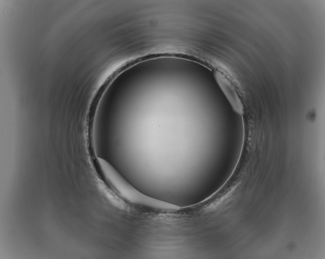 X0000090700942200707271106