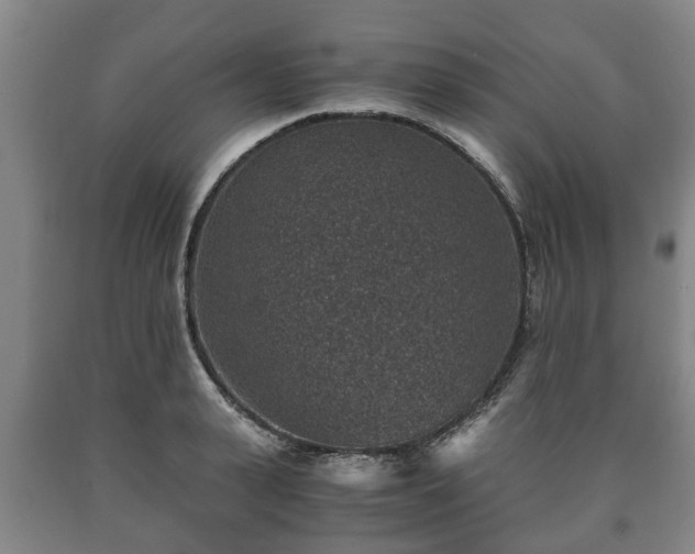 X0000090700943200707271106