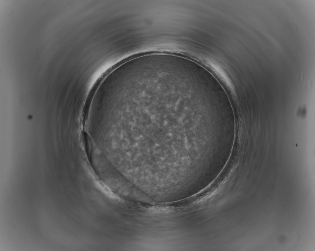 X0000090700944200707271106