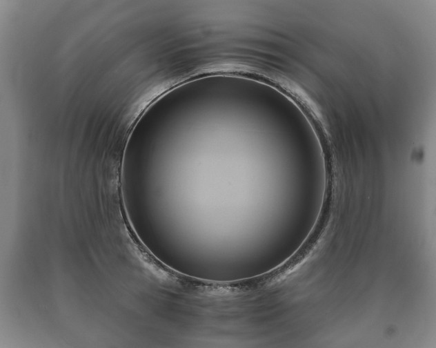 X0000090700945200707271106