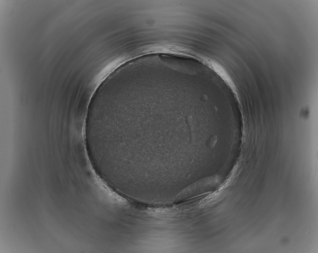 X0000090700946200707271106