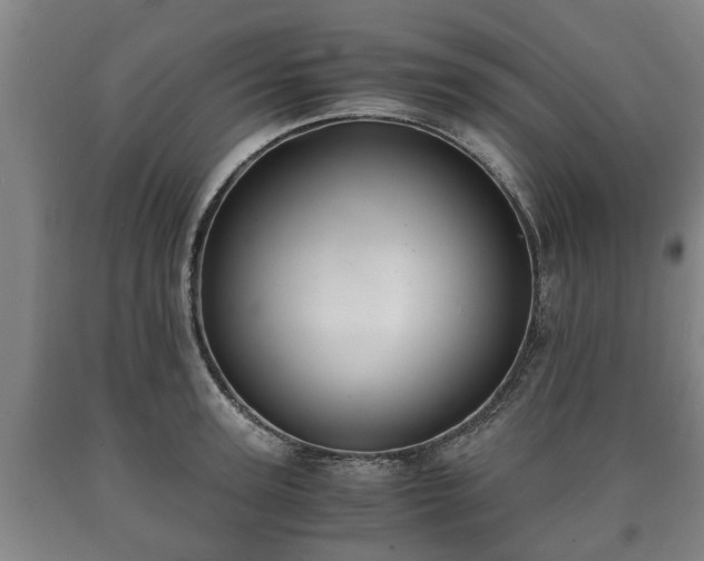 X0000090700947200707271106