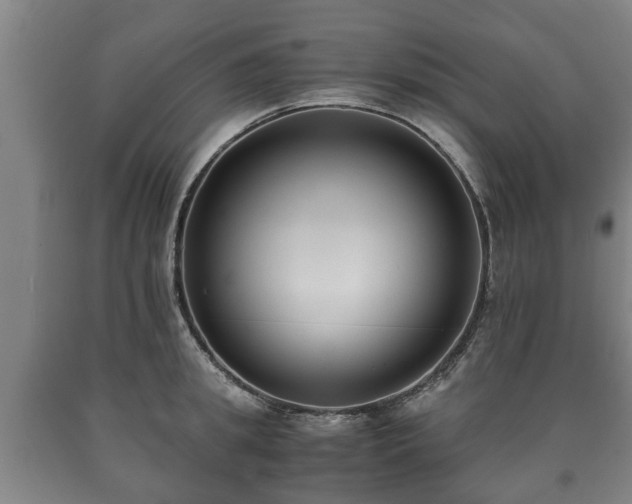 X0000090700949200707271106