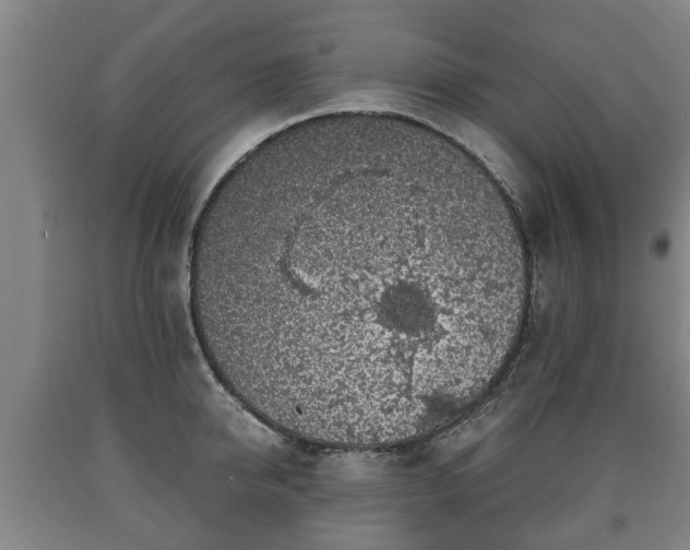 X0000090700950200707271106