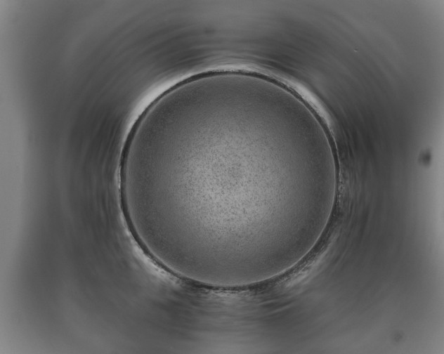 X0000090700951200707271106