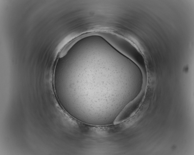 X0000090700952200707271106