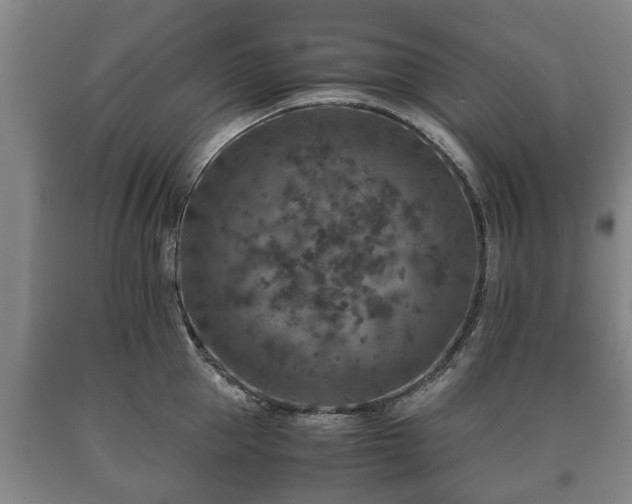 X0000090700953200707271106