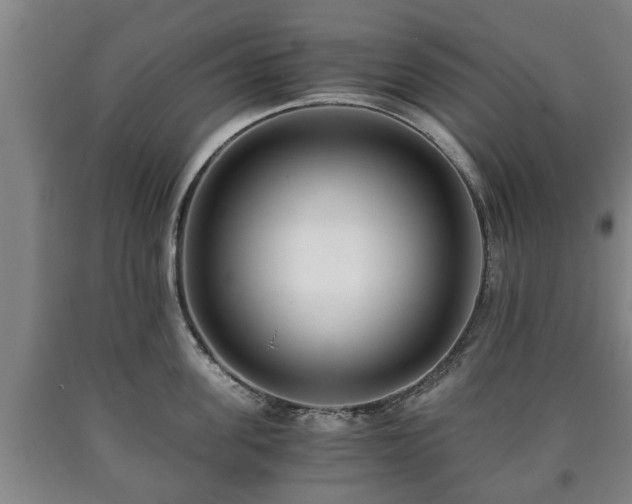 X0000090700955200707271106