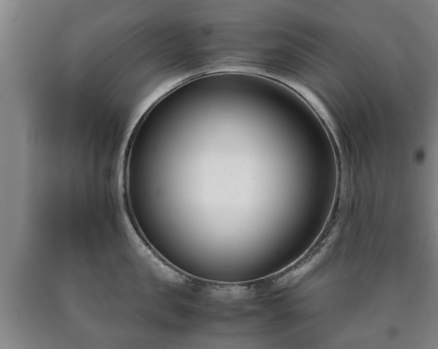 X0000090700957200707271106