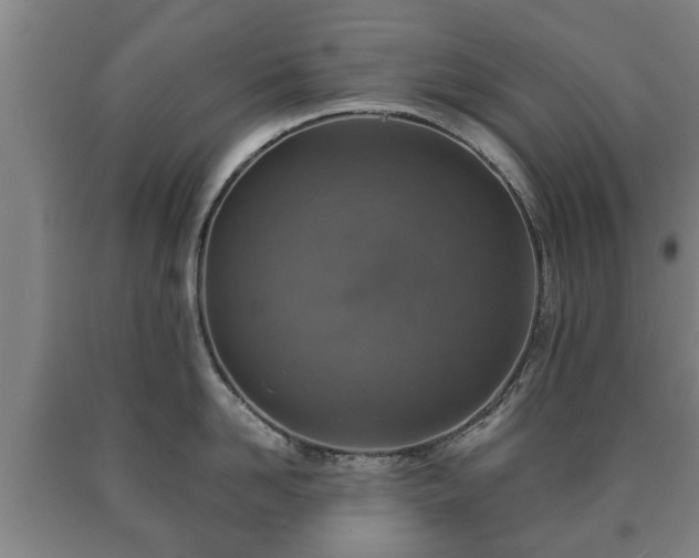 X0000090700958200707271106