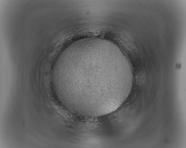 X0000090700961200707271105