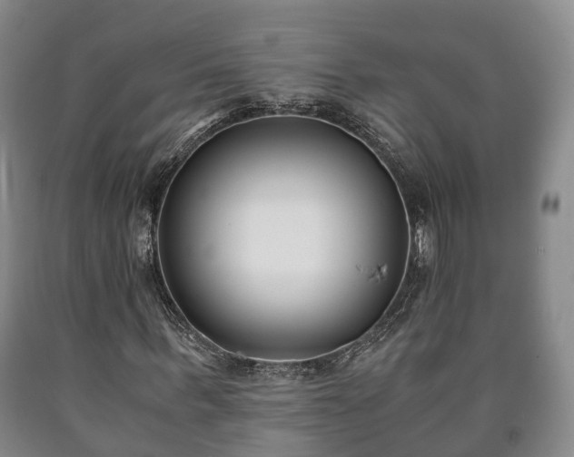 X0000090700963200707271105