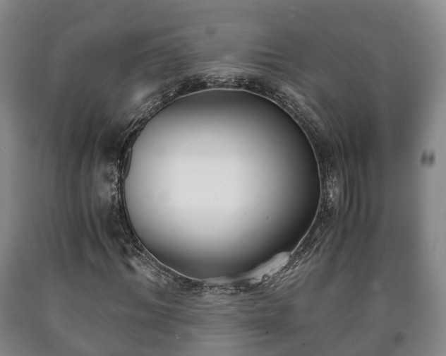 X0000090700964200707271105