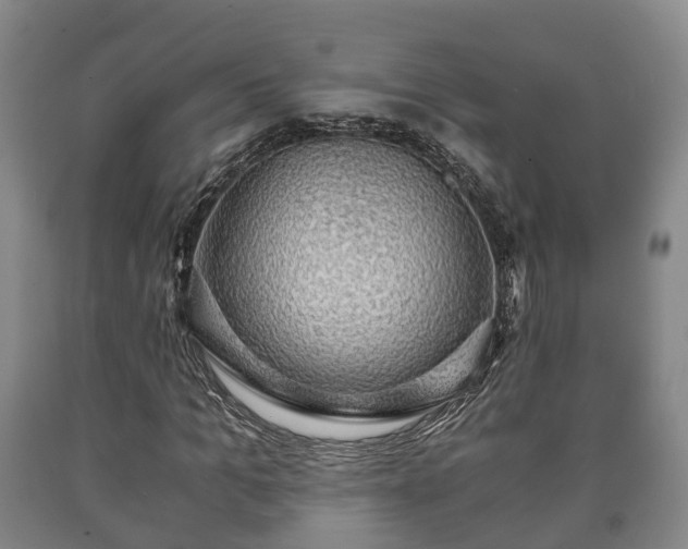 X0000090700965200707271105