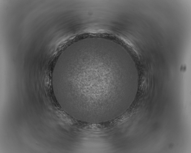 X0000090700966200707271105