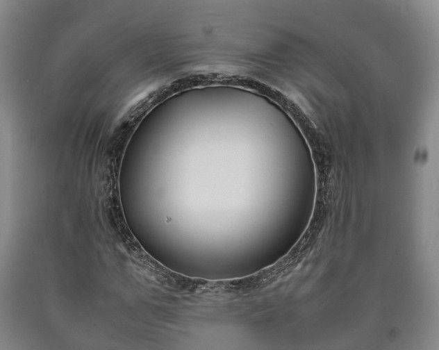 X0000090700967200707271105