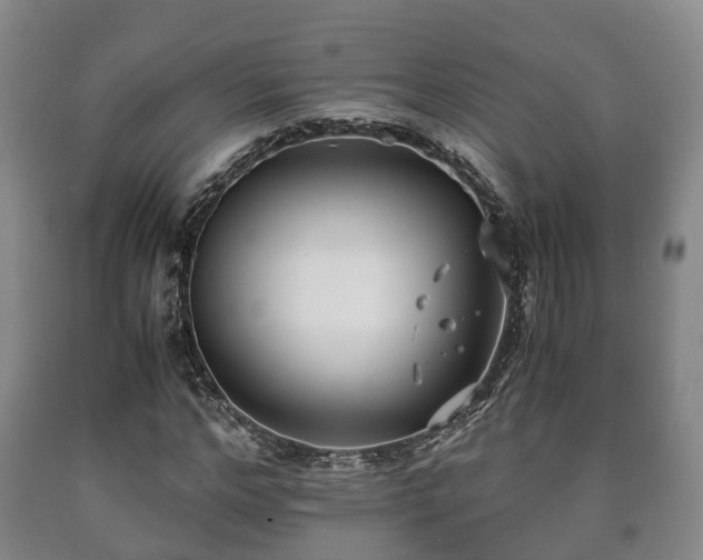 X0000090700968200707271105