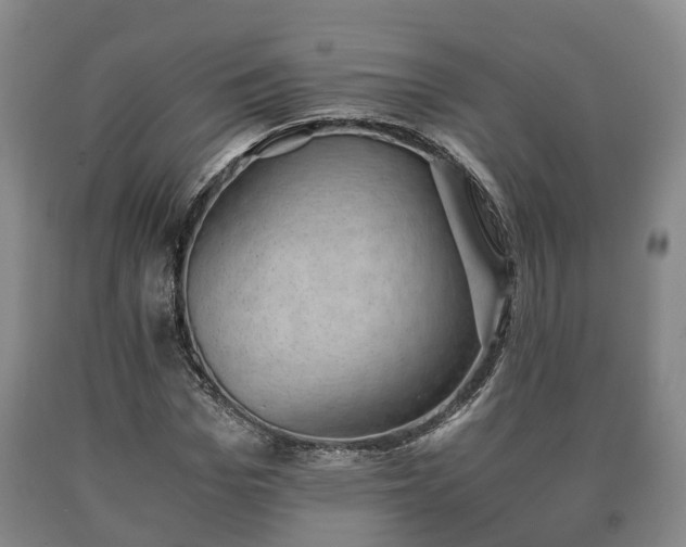 X0000090700969200707271105