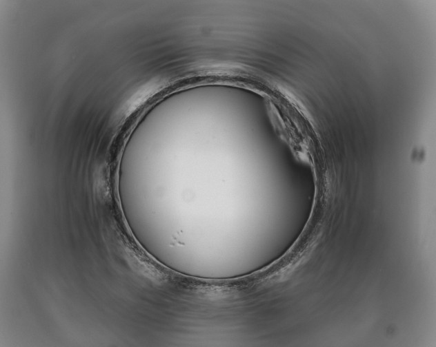 X0000090700970200707271105