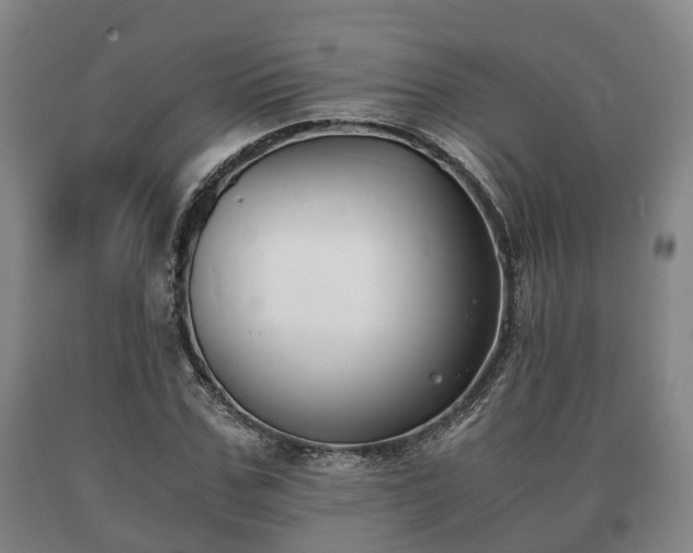 X0000090700971200707271105