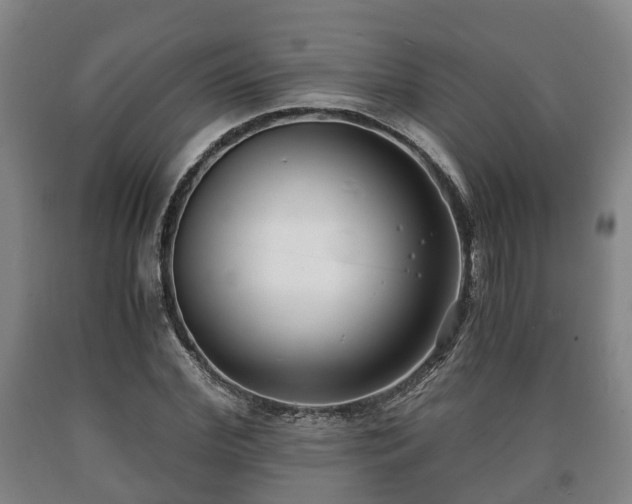 X0000090700972200707271105