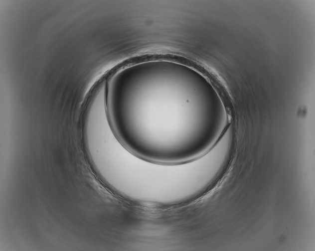 X0000090700973200707271105