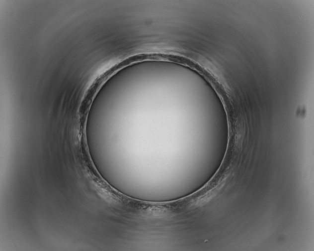 X0000090700974200707271105