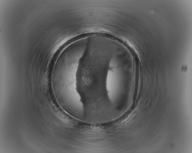 X0000090700975200707271105