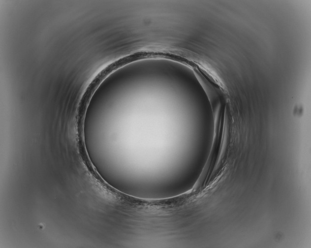 X0000090700976200707271105